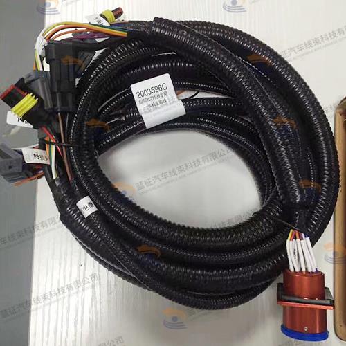 新能源電動(dòng)汽車(chē)連接線(xiàn)